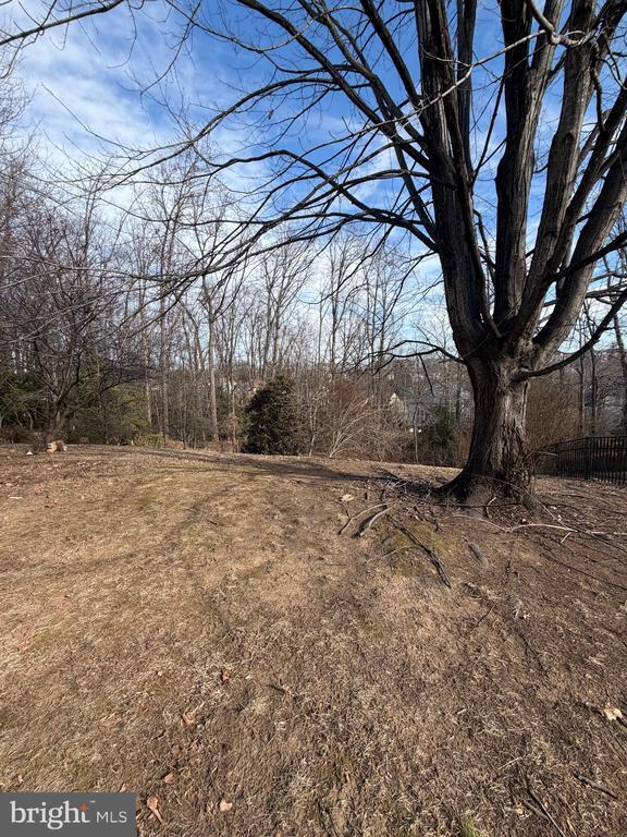 Building Photo - 15417 Bald Eagle Ln