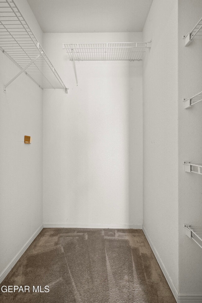 Building Photo - 871 Luisa Guerra Dr