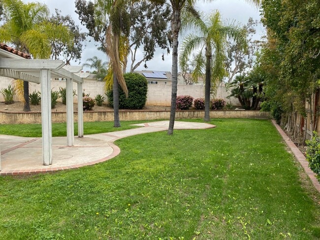 Building Photo - Single Story RSM house with HUGE yard!