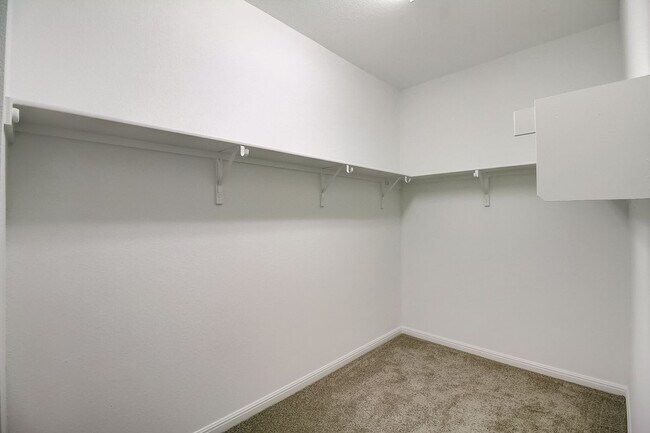 Building Photo - 117 Lacey Oak Lp