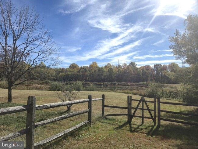 Building Photo - 157 Darling St