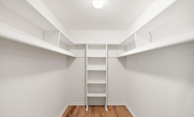 Building Photo - 28118 Forestbrook Dr