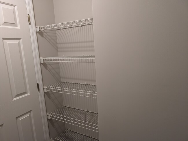 Master Walk-in Closet - 1381 Pinnacle Ln