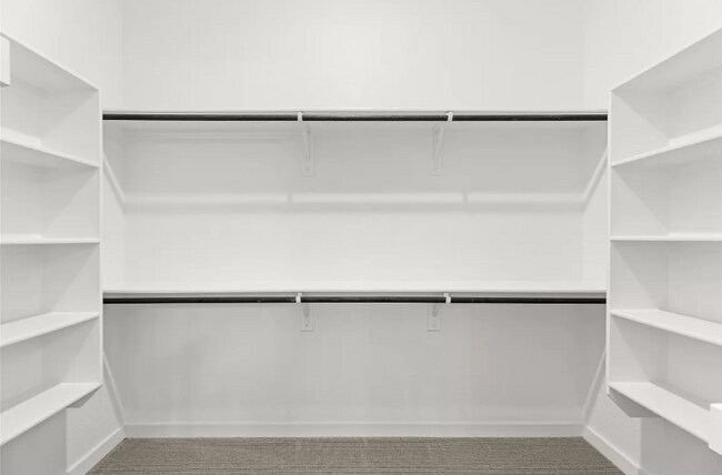 Building Photo - 204 Carmen Oak Ln