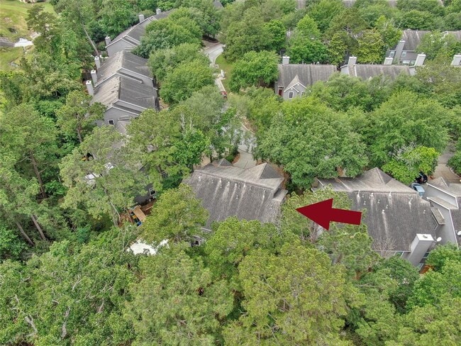 Building Photo - 147 Anise Tree Pl