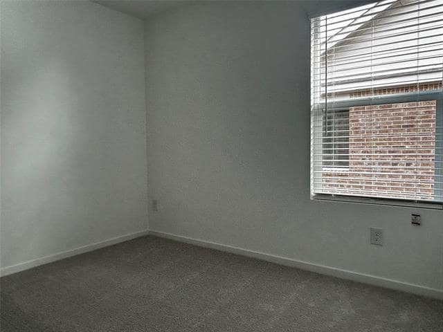 Building Photo - 705 Dressage Ln