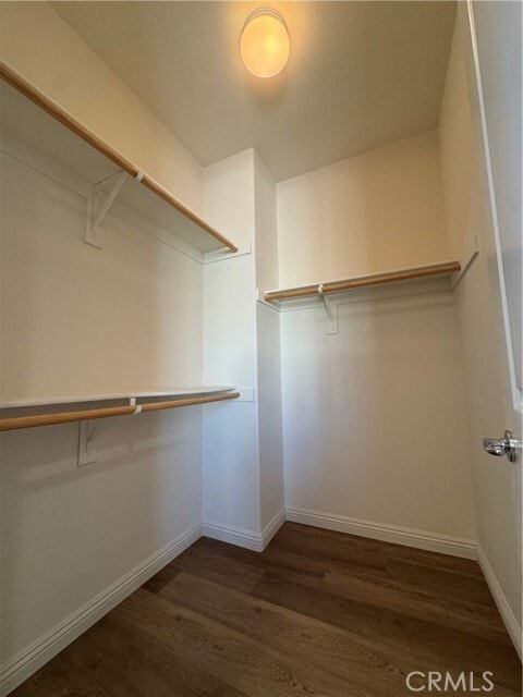 Building Photo - 14223 Symphony Ct