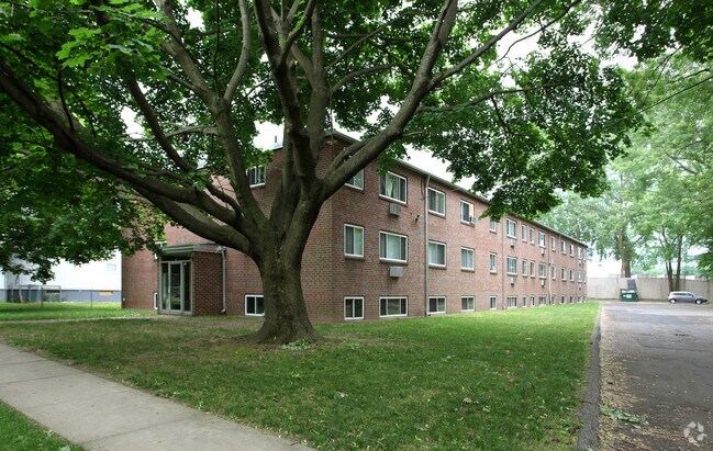 Primary Photo - 29 Willys St