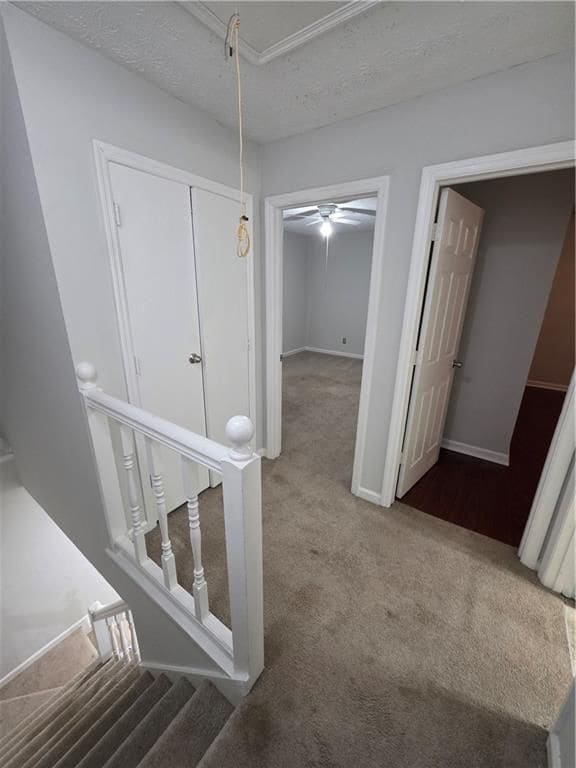 Building Photo - 1952 Padgett Dr