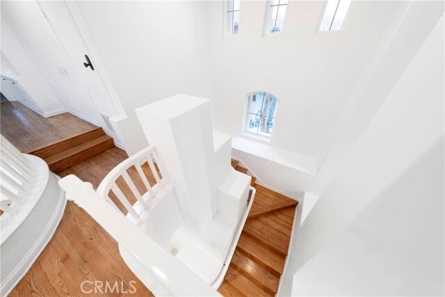 Building Photo - 19 Lucania Dr