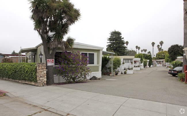 Primary Photo - Bell Harbor Mobile Home Park