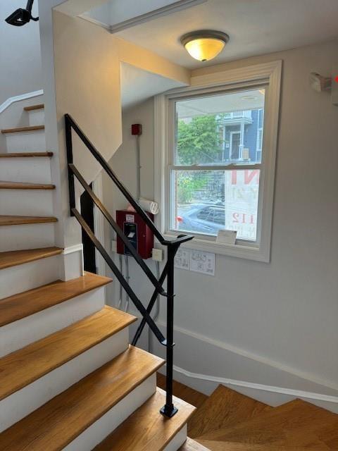 Building Photo - 255 Waterman St