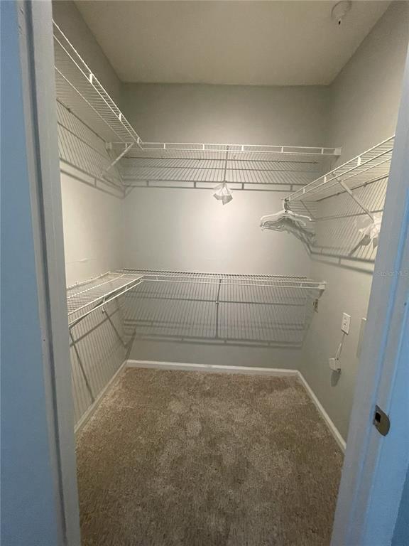 Building Photo - 1315 Bay Club Cir