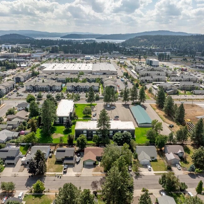 Building Photo - White Pine