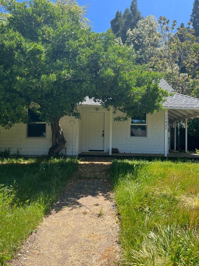 Primary Photo - Pine Grove Home
