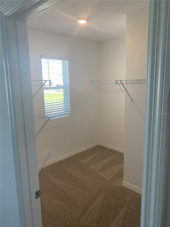 Building Photo - 3425 Nettle Loop