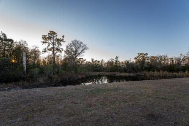 Building Photo - 21397 Snowy Orchid Terrace