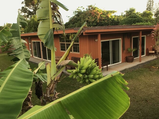 Building Photo - A Modernist Tropical Haven on Maui’s North...