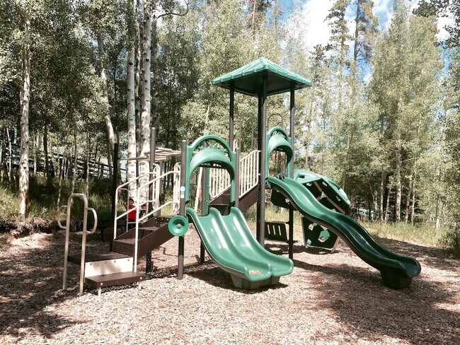 Building Photo - 8300 Ryan Gulch Rd