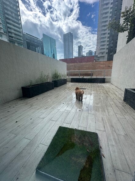 Building Photo - 1100 S Miami Ave