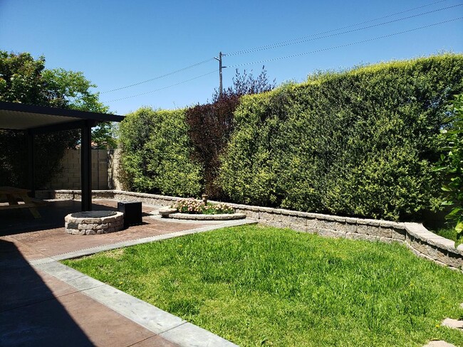Back yard - 5411 Shrewsbury Ave