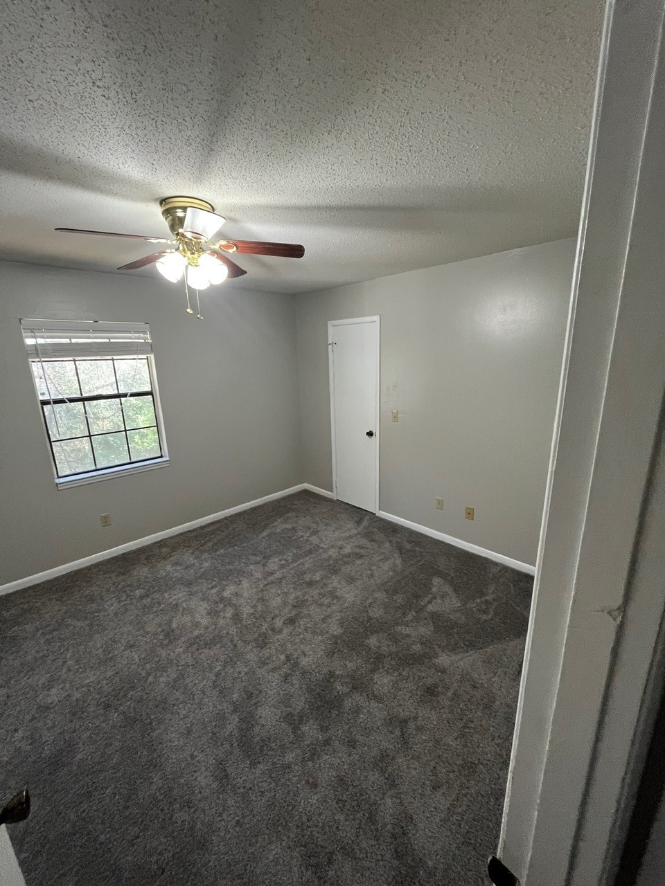 Building Photo - 300 Apache Dr