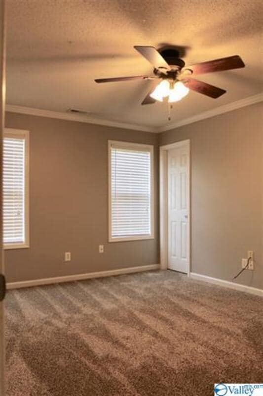 Building Photo - 241 Tanner Point Dr