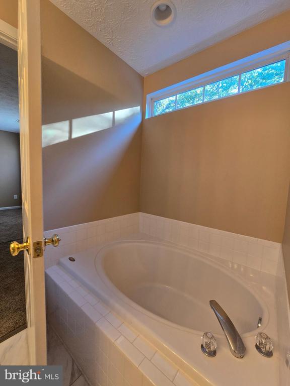 Building Photo - 160 Leeds Creek Cir