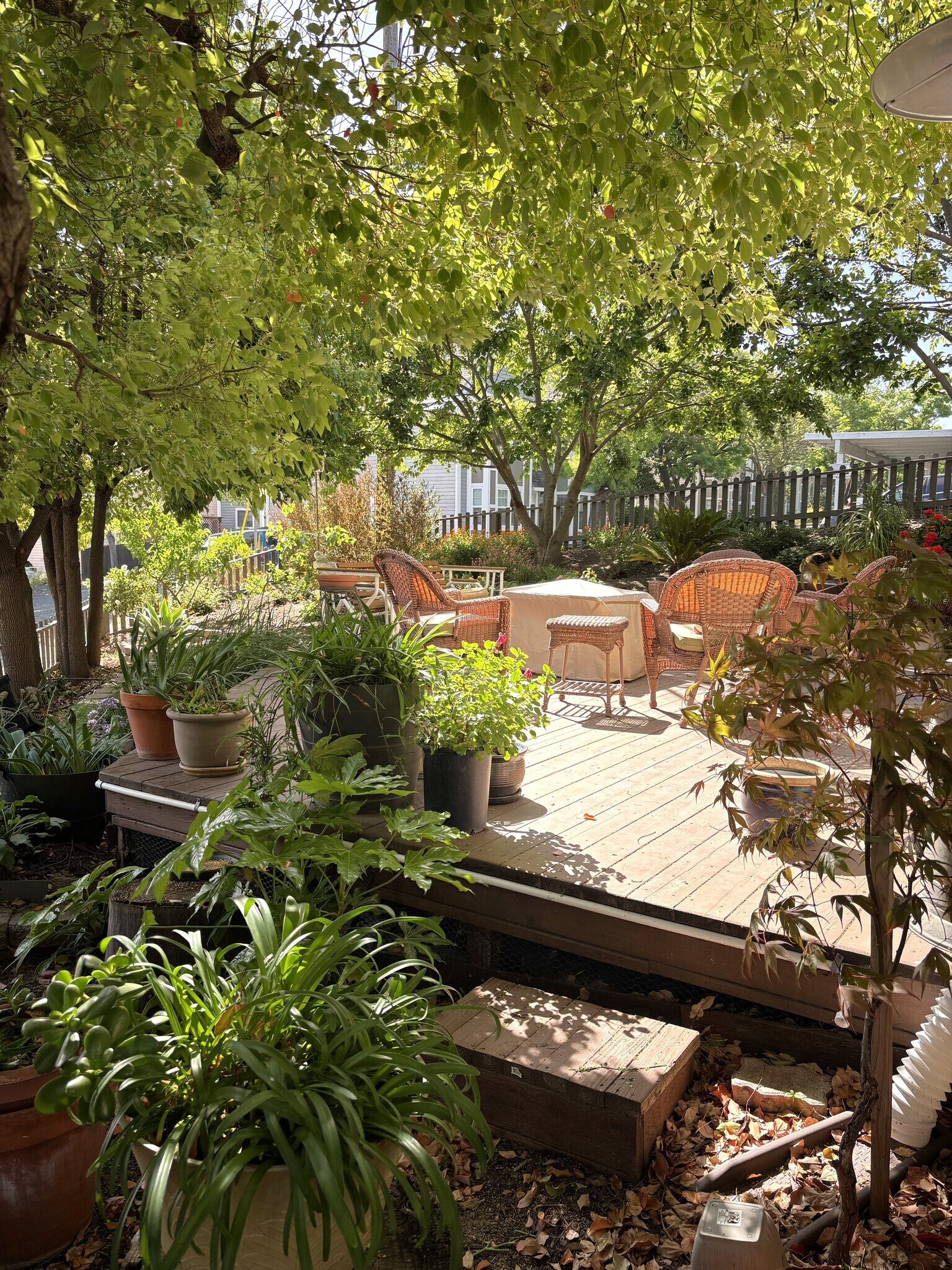 Front Deck - 1340 Hospital Rd