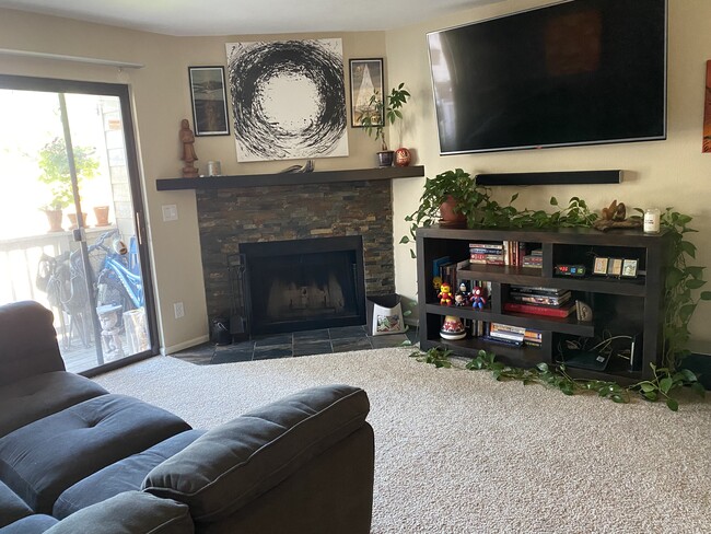 Wood burning fireplace - 4945 Twin Lakes Rd