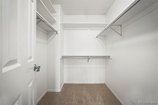 Building Photo - 421 W English Sparrow Dr