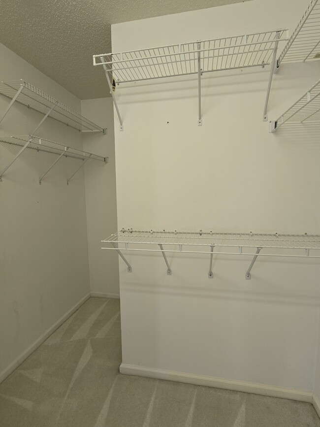 Building Photo - 517 Tanners Park Ct