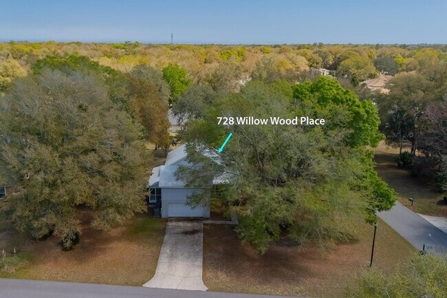 Building Photo - 728 Willow Wood Pl