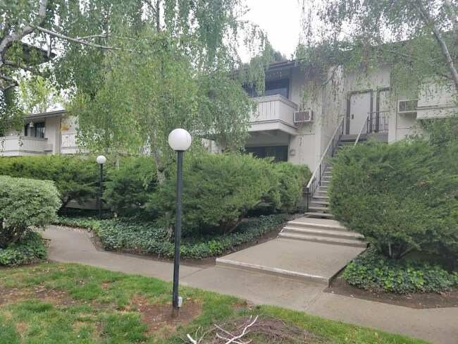 Primary Photo - 1 Bed 1 Bath Condo In Walnut Creek