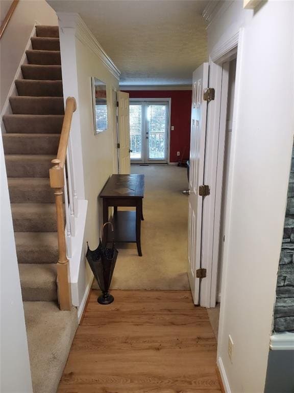 Building Photo - 2951 Lexington Trace Dr