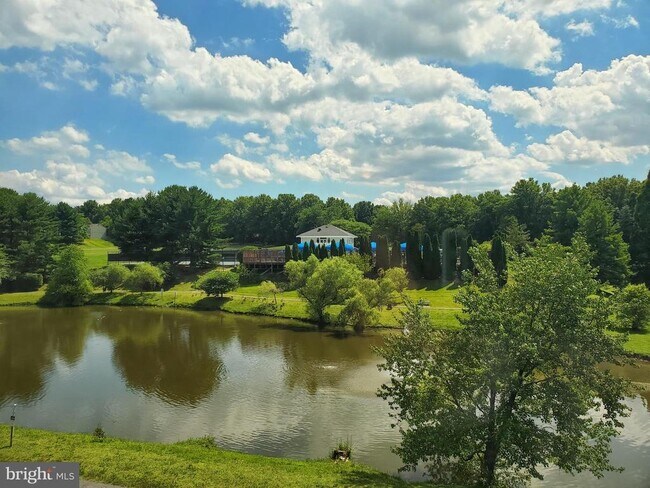 Building Photo - 14920 Forest Landing Cir
