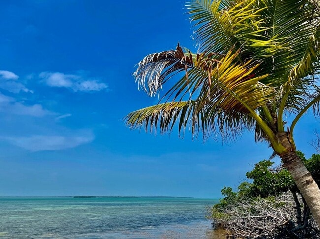 Building Photo - Move in Special! $500 off the First Months Rent!