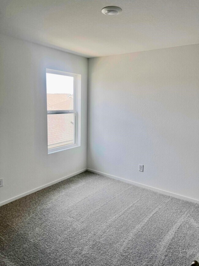Building Photo - 29023 Great Flatland Trl