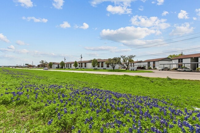 Building Photo - Your Charming 2/1 Apartment in Waxahachie Awaits - Perfect for a Small Family or Remote Worker! A...