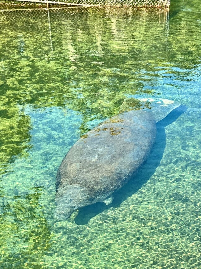 Building Photo - 2247 S Waterman Dr