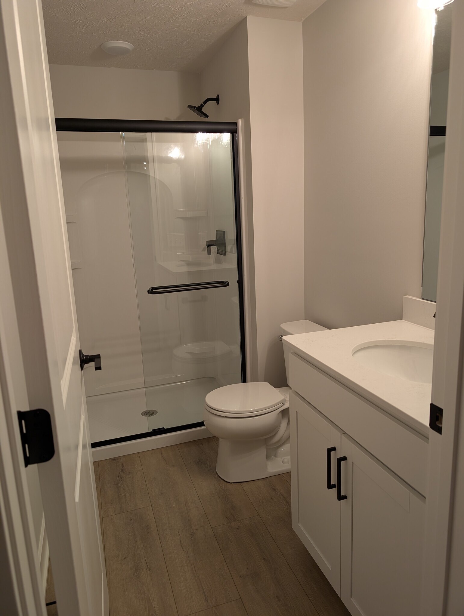 Basement Bathroom - 12855 S 45th Ter