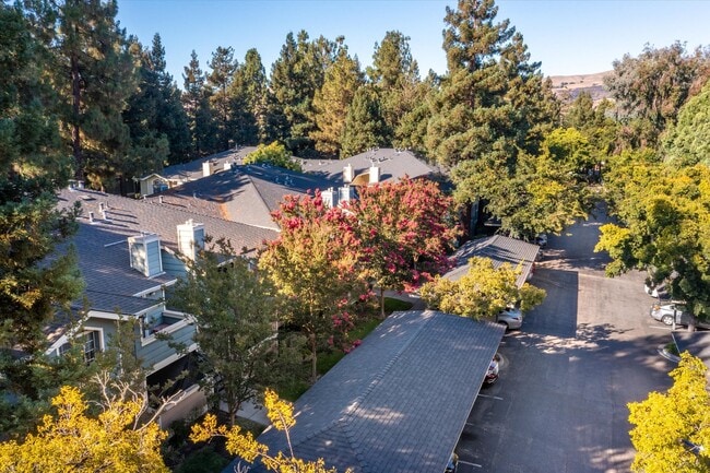Building Photo - 2702 Somerset Park Cir