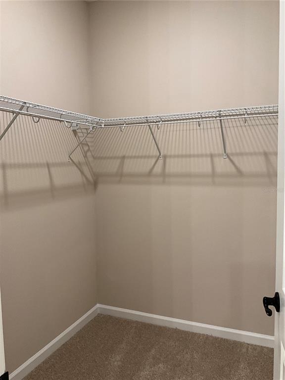 Building Photo - 807 Ballantyne Dr