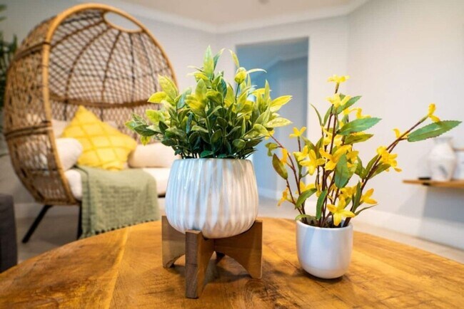 Building Photo - Fully Renovated Home Near Busch Gardens