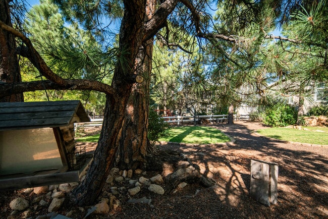 Building Photo - Beautiful Walnut Ridge Home!