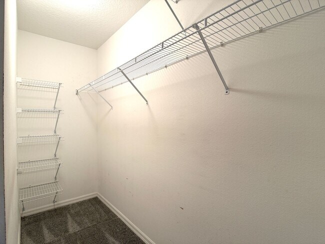 Building Photo - 310 White Ibis Ln