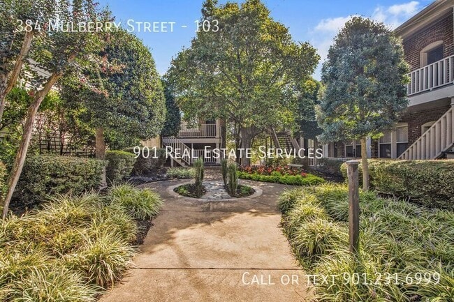 Building Photo - 384 Mulberry St