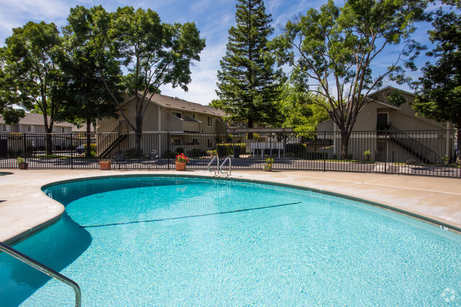 Pool - Auburn Creek Apartments