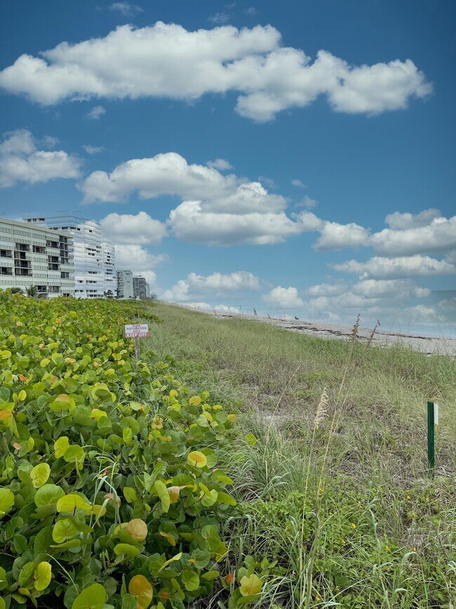 Building Photo - 10044 S Ocean Dr