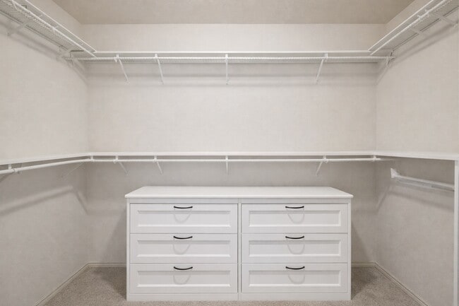 Building Photo - 5206 Rosehill Ridge Ct